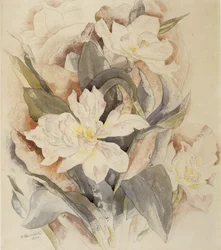 花の研究